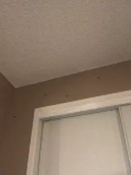 RegionalBlackboard8 live XXX chat