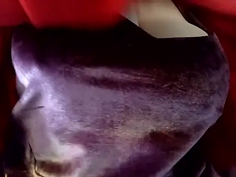 Show de webcam de mohra_