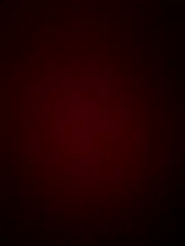 BlackCobraOwner Webcam show