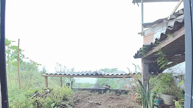 Živý XXX chat JONAS_SMITH_