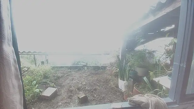 JONAS_SMITH_ Chat XXX in diretta