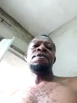 Negaomalinha1 Live XXX-Chat