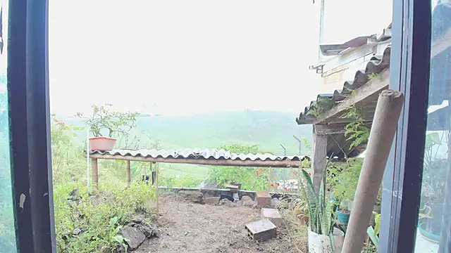 JONAS_SMITH_ élő XXX-chatje