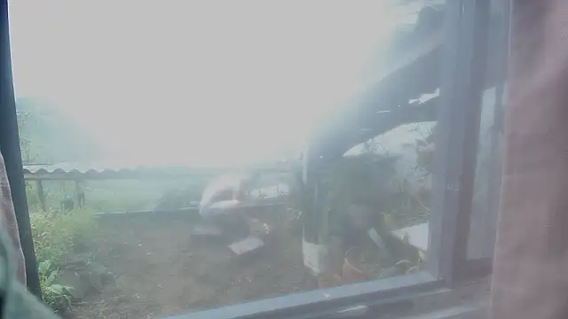 Czat XXX na żywo – JONAS_SMITH_