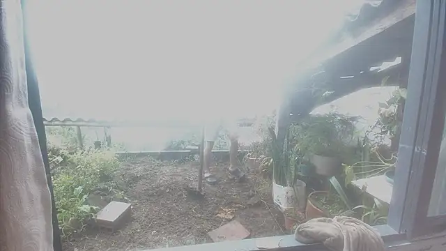 JONAS_SMITH_ লাইভ XXX চ্যাট