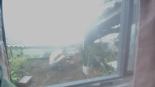 Chat XXX ao vivo de JONAS_SMITH_