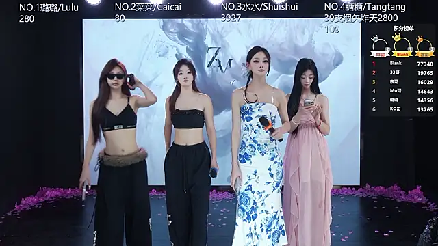 SK-001のウェブカメラショー