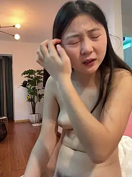 Show webcam de TEVDKA