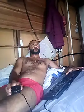 Show de webcam de Camodick