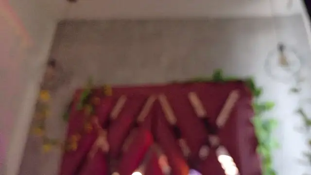 Haelycute Live XXX-chat