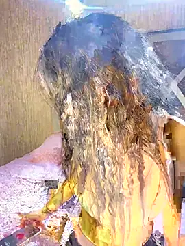 SandyPink_ Live XXX Chat