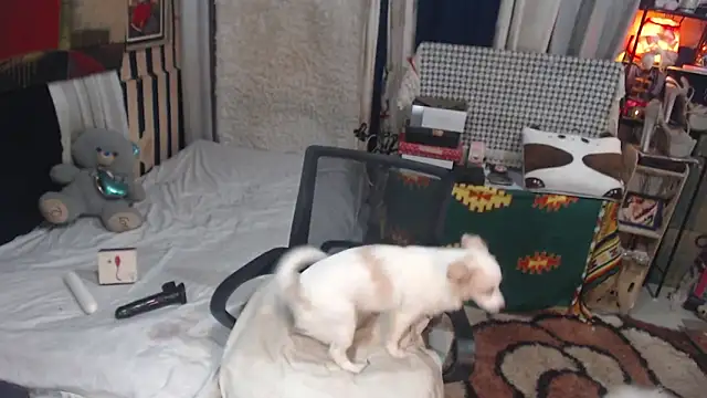 Andreasabrinafox webcam show