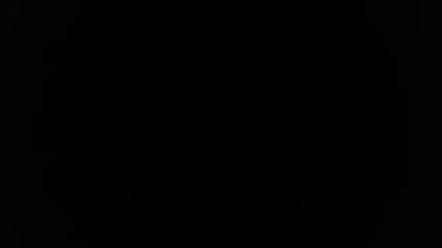 palidin1 live XXX chat