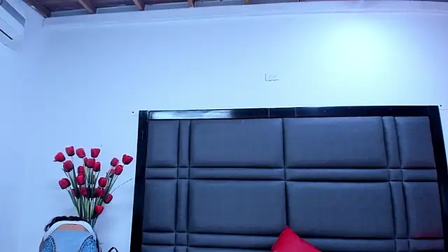 SaraDreamss élő XXX-chatje