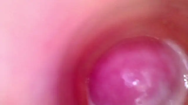 Show webcam de shannon_kinne_