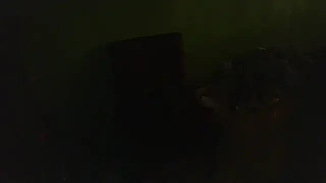 Sexslavescorpio Live XXX Chat