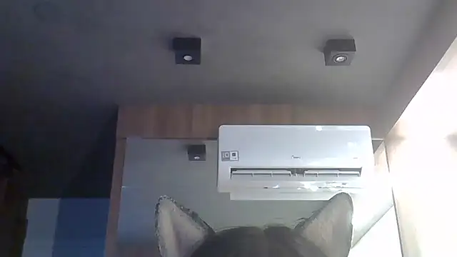 SkinnyKitten live XXX chat