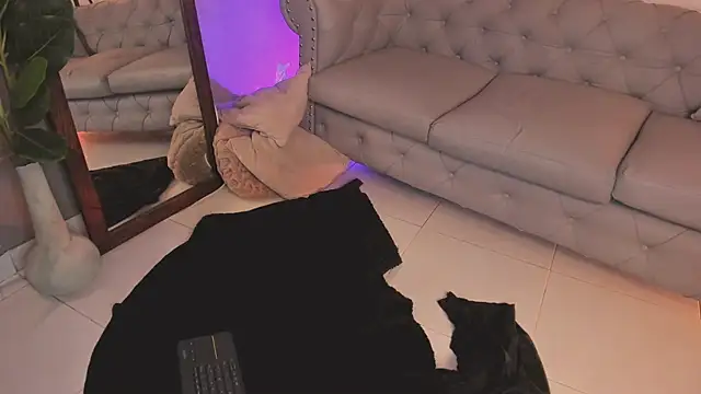 Show Webcam de liam_collins21