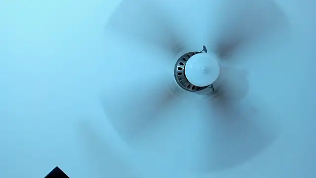 DannaDooll99 Live XXX Chat