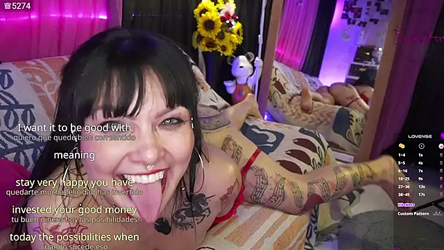 Chat XXX en directo de Rachellkors