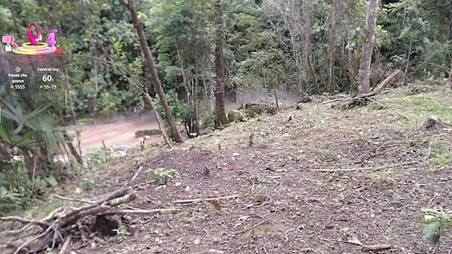 esmeralda_li Live XXX-chat