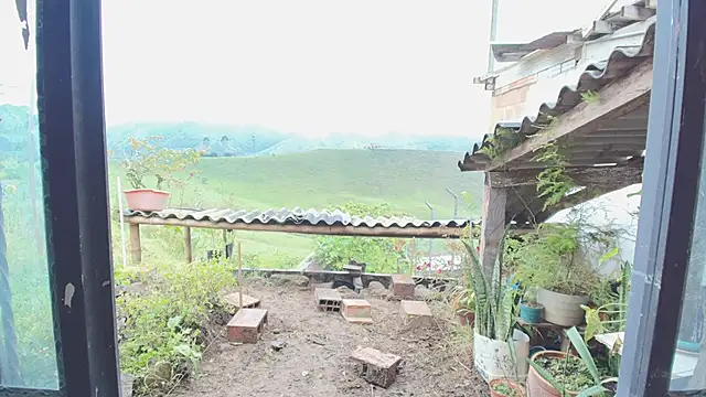 Chat XXX en directo de JONAS_SMITH_