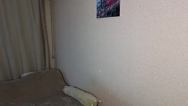 Chat XXX ao vivo de vickky_shy