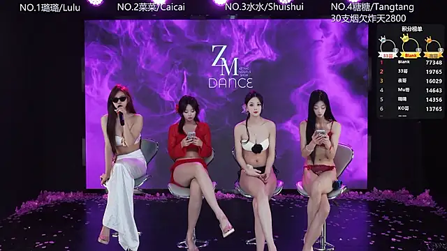 SK-001 网络视讯表演