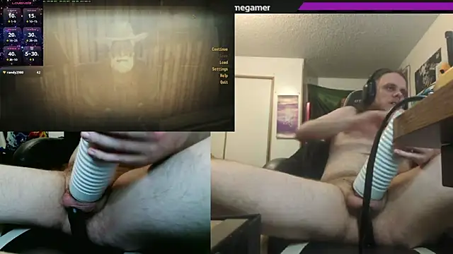 watchmegamerのウェブカメラショー