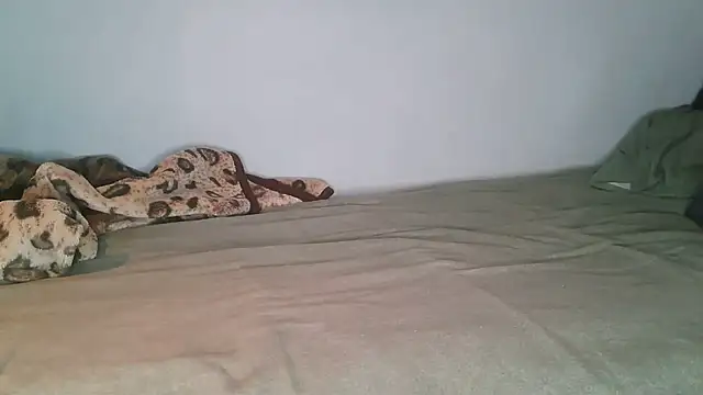 Horny208 网络视讯表演