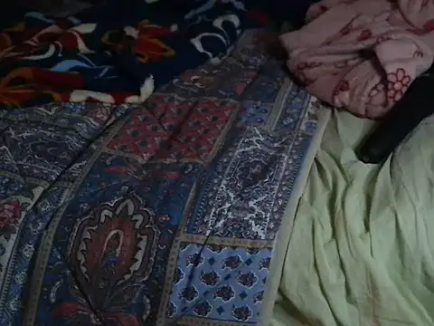 VeneRed Obrolan Langsung XXX