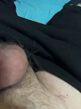 Dvddd Obrolan Langsung XXX