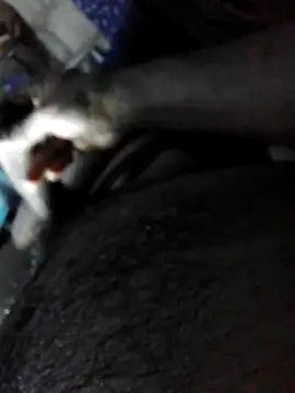 Suga98 Obrolan Langsung XXX