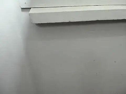 rositasweel élő XXX-chatje