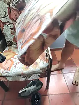 Show de Blanco2023 na webcam