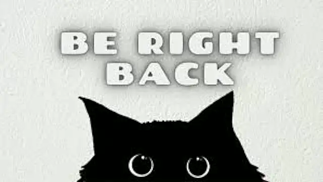 Syndy_Dels élő XXX-chatje