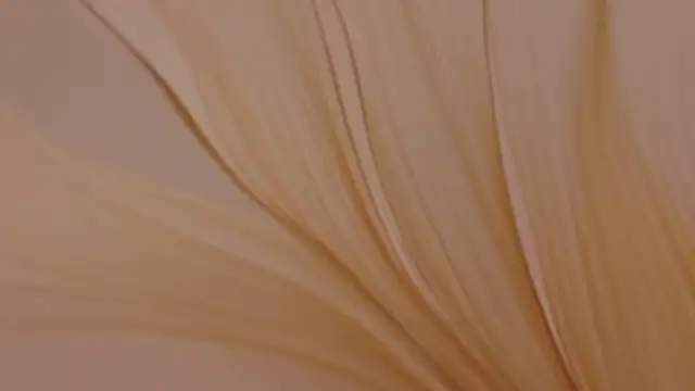 milaleoneli: онлайн-секс-чат