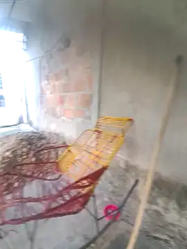 lady_and_charly Live XXX-Chat