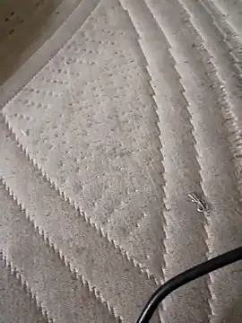 Rabbitt231: διαδικτυακό σόου στην κάμερα