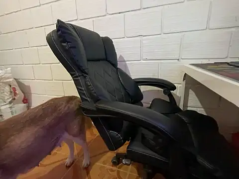 Max_TheHorseDick élő XXX-chatje