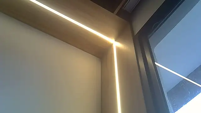 Chat XXX en directo de SkinnyKitten