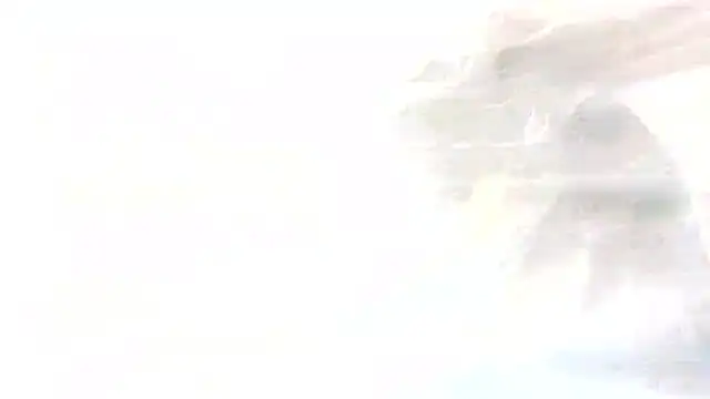 Dixie_delight Chat XXX in diretta