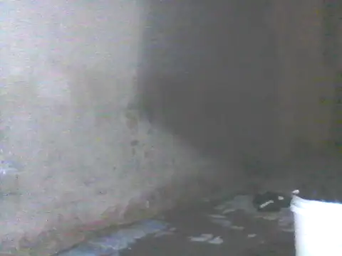 Wanderkid33 Obrolan Langsung XXX