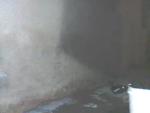 Wanderkid33 Obrolan Langsung XXX