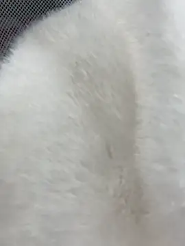 Chat XXX Live Mina048