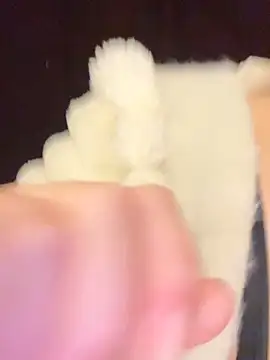 RooVaaN-Xx 现场XXX聊天