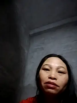 miray- 网络视讯表演