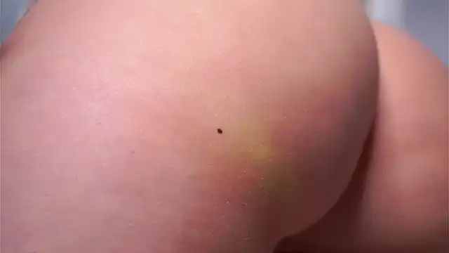 SunnivaCovil Chat XXX in diretta