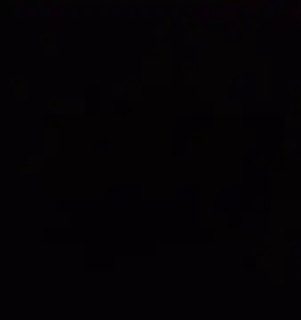 Show webcam de ramesh65