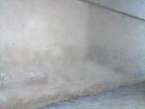 Wanderkid33 Live XXX-chat